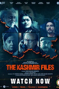 دانلود فیلم The Kashmir Files 2022